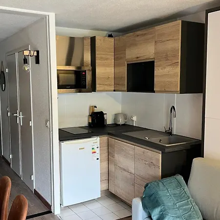 Rénové, 4 Personnes, Pied Des Pistes Appartement Les Deux Alpes